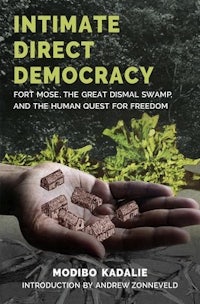 the cover of intimate direct democracy